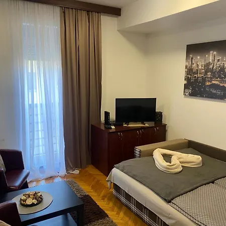 Dini Novi Sad