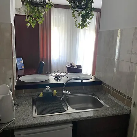 Apartment Dini Novi Sad